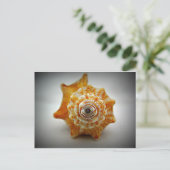 Juvenile-Kampfhaken Postkarte (Stehend Vorderseite)