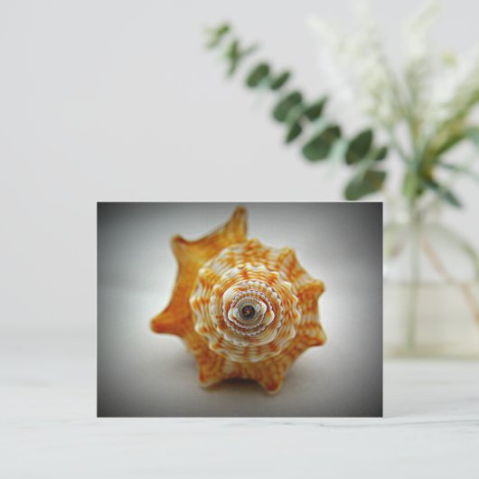 Juvenile-Kampfhaken Postkarte (Stehend Vorderseite)