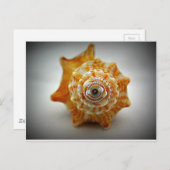 Juvenile-Kampfhaken Postkarte (Vorne/Hinten)