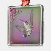 Juvenile männlich Ruby Throated Hummingbird Silbernes Ornament (Links)