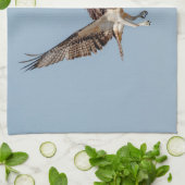 Juvenile Osprey im Flugzeug Geschirrtuch (Gefaltet)