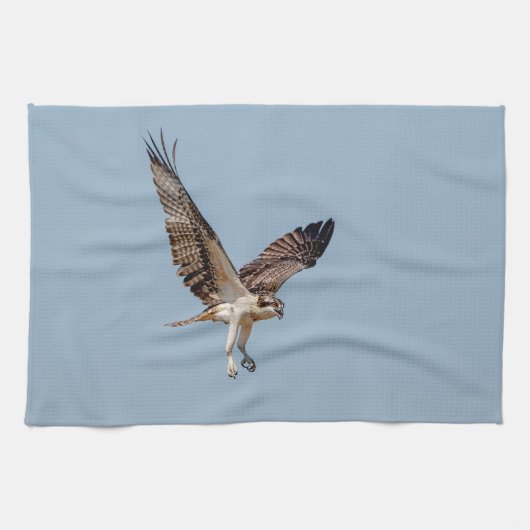 Juvenile Osprey im Flugzeug Geschirrtuch (Horizontal)