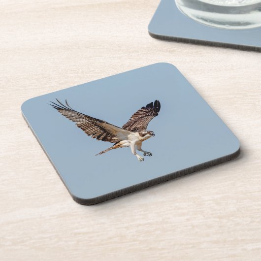 Juvenile Osprey im Flugzeug Getränkeuntersetzer (Linke Seite)