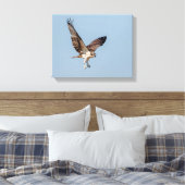 Juvenile Osprey im Flugzeug Leinwanddruck (Insitu (Schlafzimmer))