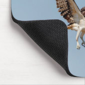 Juvenile Osprey im Flugzeug Mousepad (Ecke)