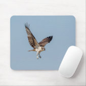 Juvenile Osprey im Flugzeug Mousepad (Mit Mouse)