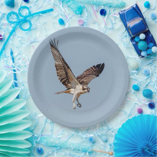 Juvenile Osprey im Flugzeug Pappteller (Party)