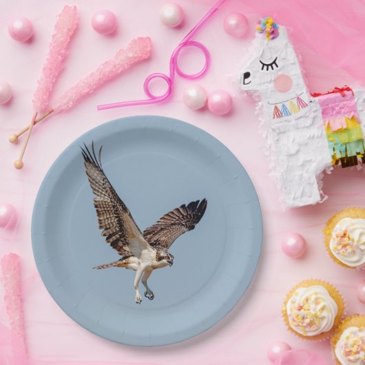 Juvenile Osprey im Flugzeug Pappteller (Party)