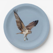 Juvenile Osprey im Flugzeug Pappteller (Vorderseite)