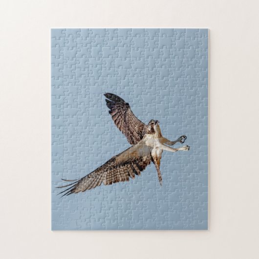 Juvenile Osprey im Flugzeug Puzzle (Vertikal)