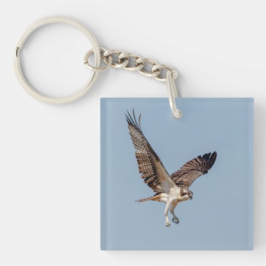 Juvenile Osprey im Flugzeug Schlüsselanhänger (Vorderseite)