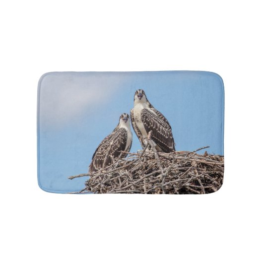 Juvenile Osprey im Nest Badematte (Vorderseite)