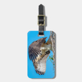 Juvenile Osprey im Nest Gepäckanhänger (Vorderseite vertikal)