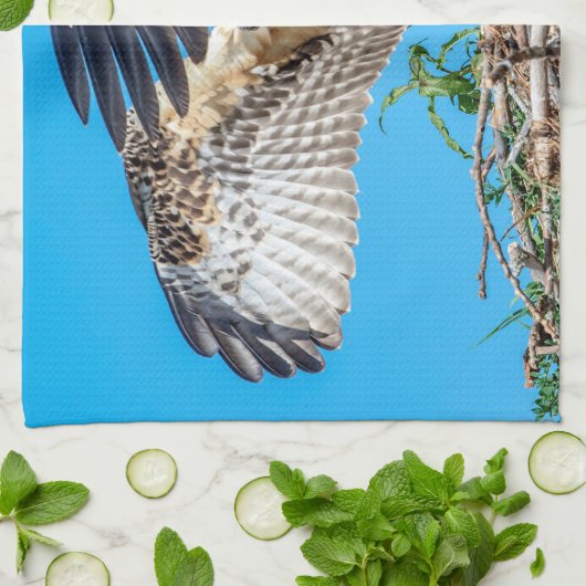 Juvenile Osprey im Nest Geschirrtuch (Gefaltet)