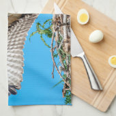 Juvenile Osprey im Nest Geschirrtuch (Viertel Falte)