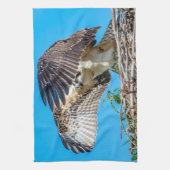 Juvenile Osprey im Nest Geschirrtuch (Vertikal)