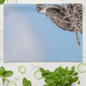 Juvenile Osprey im Nest Handtuch (Gefaltet)