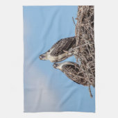 Juvenile Osprey im Nest Handtuch (Vertikal)