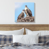 Juvenile Osprey im Nest Leinwanddruck (Insitu (Schlafzimmer))