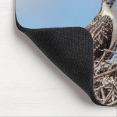 Juvenile Osprey im Nest Mousepad (Ecke)