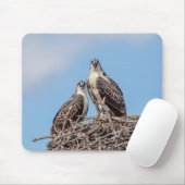Juvenile Osprey im Nest Mousepad (Mit Mouse)