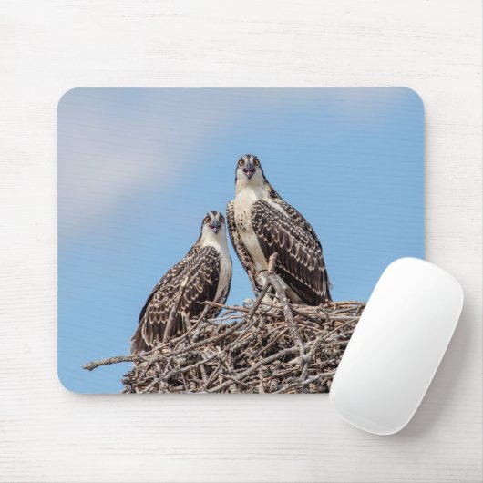 Juvenile Osprey im Nest Mousepad (Mit Mouse)