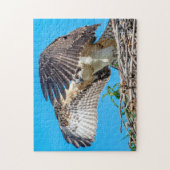 Juvenile Osprey im Nest Puzzle (Vertikal)