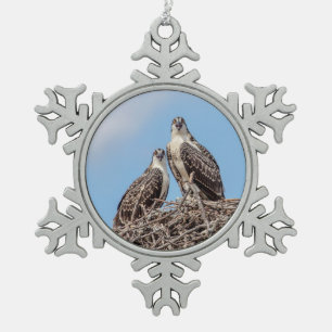 Juvenile Osprey im Nest Schneeflocken Zinn-Ornament