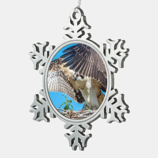 Juvenile Osprey im Nest Schneeflocken Zinn-Ornament (Rechts)
