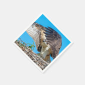 Juvenile Osprey im Nest Serviette (Ecke)
