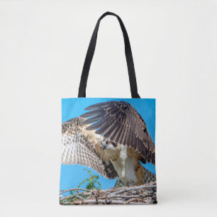 Juvenile Osprey im Nest Tasche
