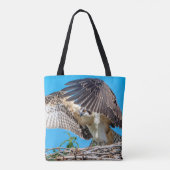 Juvenile Osprey im Nest Tasche (Rückseite)