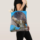 Juvenile Osprey im Nest Tasche (Von Nahem)