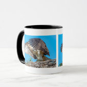 Juvenile Osprey im Nest Tasse (Vorderseite Links)