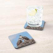 Juvenile Osprey im Nest Untersetzer (Rechte Seite)