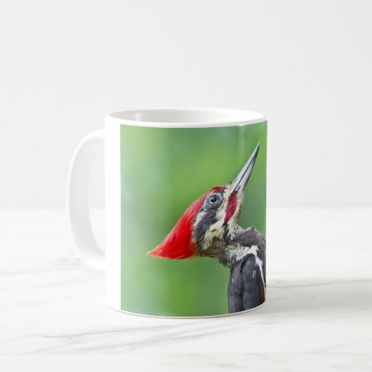 Juvenile Pileated Woodpecker Profile Geschenke App Kaffeetasse (Vorderseite Links)