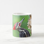 Juvenile Pileated Woodpecker Profile Geschenke App Kaffeetasse (Mittel)