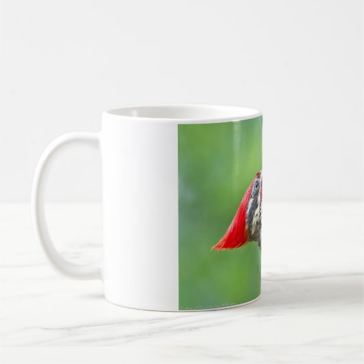 Juvenile Pileated Woodpecker Profile Geschenke App Kaffeetasse (Links)
