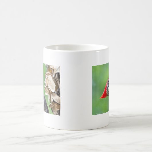 Juvenile Pileated Woodpecker Profile Geschenke App Kaffeetasse (Mittel)
