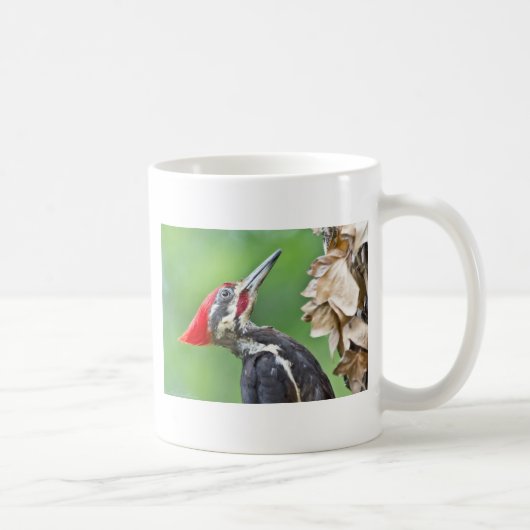 Juvenile Pileated Woodpecker Profile Geschenke App Kaffeetasse (Rechts)