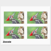 Juvenile Pileated Woodpecker Profile Geschenke App Rechteckiger Aufkleber (Blatt)