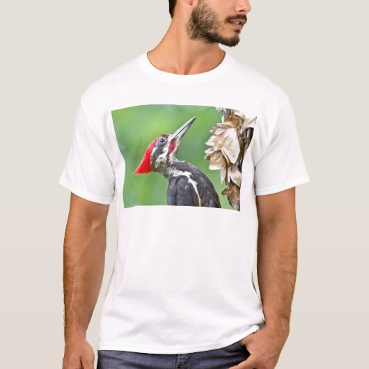 Juvenile Pileated Woodpecker Profile Geschenke App T-Shirt (Vorderseite)