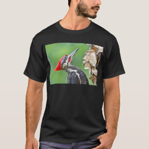Juvenile Pileated Woodpecker Profile Geschenke App T-Shirt