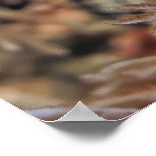 Juvenile Poster (Ecke)