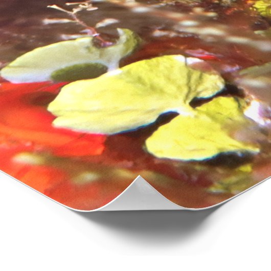 Juvenile Queen Angelfish Poster (Ecke)