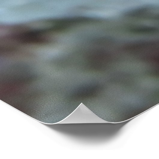 Juvenile Red Coris Poster (Ecke)