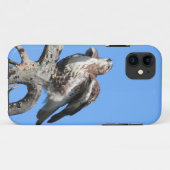 Juvenile Red Schwanz Hawk Case-Mate iPhone Hülle (Rückseite (Horizontal))