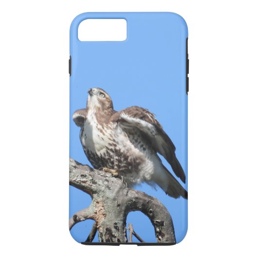 Juvenile Red Schwanz Hawk Case-Mate iPhone Hülle (Rückseite)