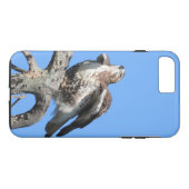 Juvenile Red Schwanz Hawk Case-Mate iPhone Hülle (Rückseite (Horizontal))