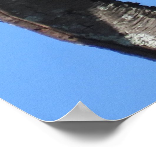 Juvenile Red Schwanz Hawk Motivierend Poster (Ecke)